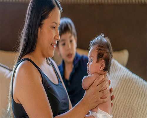 2024国内借卵生子试管婴儿费用一览！